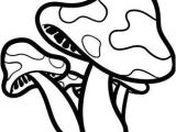 Coloriage De Champignons D Automne Meilleur De Coloriage Champignon Trippy – Marcorandazzo
