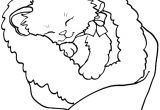 Coloriage De Chat A Imprimer Gratuit Dessin