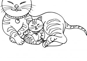 Coloriage De Chat Mignon Inspirant Image A Colorier De Chaton – Mademoiselleosaki