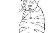 Coloriage De Chat Trop Mignon A Imprimer Gratuit Image De Chat A Imprimer Gratuit Yn66 – Humatraffin