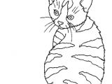 Coloriage De Chat Trop Mignon A Imprimer Gratuit Image De Chat A Imprimer Gratuit Yn66 – Humatraffin