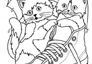 Coloriage De Chatons Gratuit Coloriage A Imprimer Chatons Dans Chaussons Gratuit Et