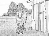 Coloriage De Cheval De Trait Coloriage Beau Cheval De Trait 2009 à Imprimer Pour Les