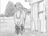 Coloriage De Cheval De Trait Coloriage Cheval De Trait à Imprimer Pour Les Enfants