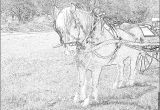 Coloriage De Cheval De Trait Coloriage Cheval De Trait P à Imprimer Pour Les