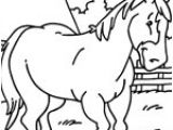 Coloriage De Cheval De Trait Coloriage Cheval Sur top Coloriages Coloriages Cheval