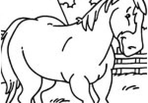 Coloriage De Cheval De Trait Coloriage Cheval Sur top Coloriages Coloriages Cheval Coloriage De Cheval De Trait Coloriage Cheval Sur top Coloriages Coloriages Cheval