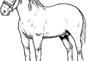 Coloriage De Cheval De Trait Coloriage De Cheval Dessin Un Beau Cheval De Trait à Colorier Coloriage De Cheval De Trait Coloriage De Cheval Dessin Un Beau Cheval De Trait à Colorier
