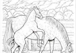 Coloriage De Chevau 58 Best Coloriage Chevaux Images On Pinterest