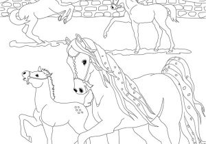 Coloriage De Chevaux Bella Sara A Imprimer Coloriage Bella Sara Les Beaux Dessins De Dessin Animé   Imprimer