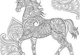 Coloriage De Chevaux De Dressage 277 Meilleures Images Du Tableau Chevaux