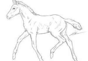 Coloriage De Chevaux De Dressage 277 Meilleures Images Du Tableau Chevaux