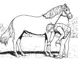 Coloriage De Chevaux En Ligne Gratuit Coloriage204 Jeux De Coloriage De Chevaux