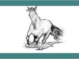 Coloriage De Chevaux Qui Galope Dessin Et Peinture Vidéo 2247 Ment Dessiner Un Cheval