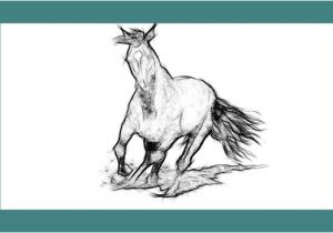 Coloriage De Chevaux Qui Galope Dessin Et Peinture Vidéo 2247 Ment Dessiner Un Cheval