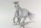 Coloriage De Chevaux Qui Galope Dessin Et Peinture Vidéo 2247 Ment Dessiner Un Cheval