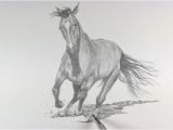 Coloriage De Chevaux Qui Galope Dessin Et Peinture Vidéo 2247 Ment Dessiner Un Cheval