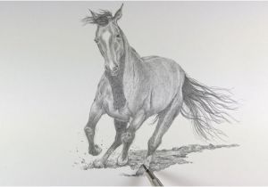 Coloriage De Chevaux Qui Galope Dessin Et Peinture Vidéo 2247 Ment Dessiner Un Cheval
