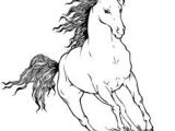 Coloriage De Chevaux Qui Galope Les 191 Meilleures Images De Coloriages Animaux De Pagnie