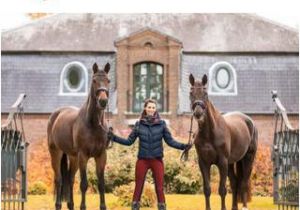 Coloriage De Chevaux Qui Galope Waldhausen Catalogue Automne Hiver 2019 by Waldhausen Gmbh