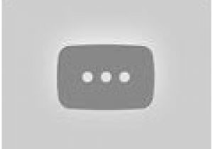 Coloriage De Chi Une Vie De Chat Meilleur De Coloriage Une Vie De Chat