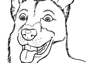 Coloriage De Chien à Imprimer Gratuit Coloriage De Chiot Trop Mignon Lalaloopsy Avec son Chat Rose