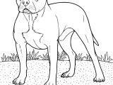 Coloriage De Chien Boxer A Imprimer Coloriage Chien Boxer Dessin  Imprimer Sur Coloriages Concernant