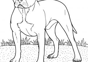 Coloriage De Chien Boxer A Imprimer Coloriage Chien Boxer Dessin  Imprimer Sur Coloriages Concernant