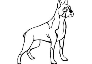 Coloriage De Chien Boxer A Imprimer Coloriage Chien Boxer Dessin