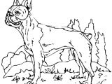 Coloriage De Chien Boxer A Imprimer Coloriage Chien Boxer