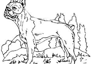 Coloriage De Chien Boxer A Imprimer Coloriage Chien Boxer