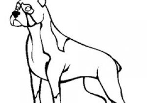 Coloriage De Chien Boxer A Imprimer Coloriage Chien Boxer