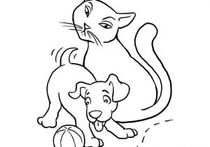 Coloriage De Chien Et De Chat A Imprimer Coloriage Chat Et Chien Dessin