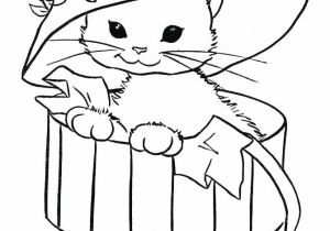 Coloriage De Chien Et De Chat A Imprimer Dessin De Chat A Imprimer Beau Coloriage Chien Coloriage