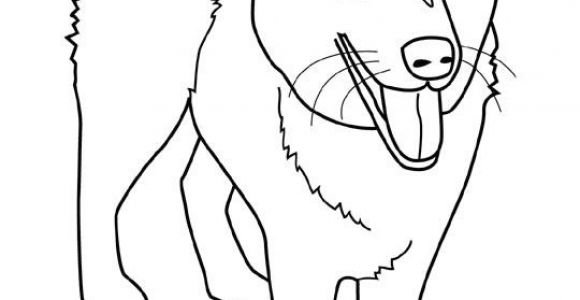 Coloriage De Chien Gratuit à Imprimer Coloriage Chien à Imprimer