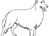 Coloriage De Chien Gratuit à Imprimer Coloriage Chien Colley à Imprimer