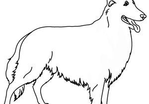 Coloriage De Chien Gratuit à Imprimer Coloriage Chien Colley à Imprimer Coloriage De Chien Gratuit à Imprimer Coloriage Chien Colley à Imprimer