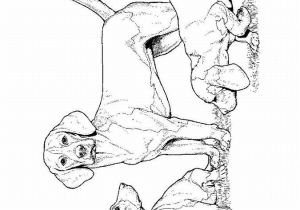 Coloriage De Chien Gratuit à Imprimer Coloriage Colorier Coloriage Chien Colorier Coloriage De Chien Gratuit à Imprimer Coloriage Colorier Coloriage Chien Colorier