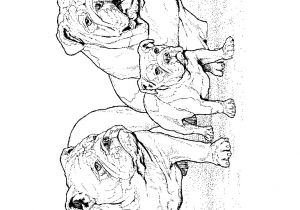 Coloriage De Chien Gratuit à Imprimer Dessin à Imprimer Du Net Coloriage Chien Coloriage De Chien Gratuit à Imprimer Dessin à Imprimer Du Net Coloriage Chien