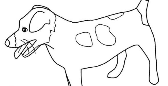 Coloriage De Chien Jack Russel Coloriage Chien Jack Russel Dessin