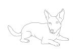 Coloriage De Chien Jack Russel Dessin De Chien Jack Russel Les Dessins Et Coloriage