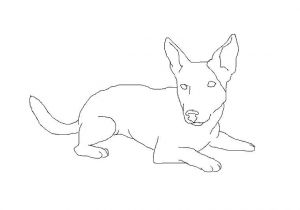 Coloriage De Chien Jack Russel Dessin De Chien Jack Russel Les Dessins Et Coloriage