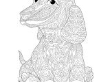 Coloriage De Chine A Imprimer Chien Teckel Chiens Coloriages Difficiles Pour Adultes