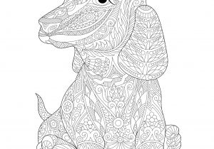 Coloriage De Chine A Imprimer Chien Teckel Chiens Coloriages Difficiles Pour Adultes
