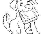 Coloriage De Chiot Gratuit Coloriage Vrai Chien A Imprimer Gratuit