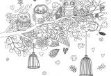 Coloriage De Chouette A Imprimer 44 Best Coloriages De Hiboux Pour Adulte Owl Adult Coloring Pages