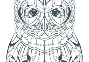 Coloriage De Chouette A Imprimer 44 Best Coloriages De Hiboux Pour Adulte Owl Adult Coloring Pages