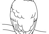 Coloriage De Chouette à Imprimer 46 Dessins De Coloriage Chouette à Imprimer
