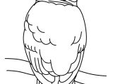Coloriage De Chouette à Imprimer 46 Dessins De Coloriage Chouette à Imprimer