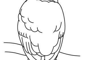 Coloriage De Chouette à Imprimer 46 Dessins De Coloriage Chouette à Imprimer